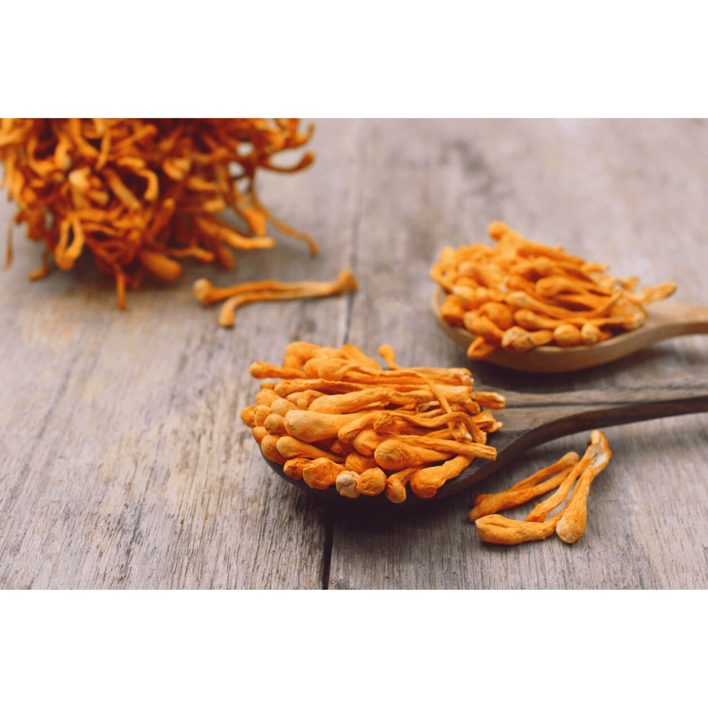 Bio Cordyceps Sinensis 150 Kapseln im Glas